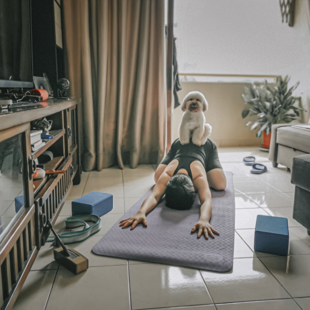 Bridges-case-study-5